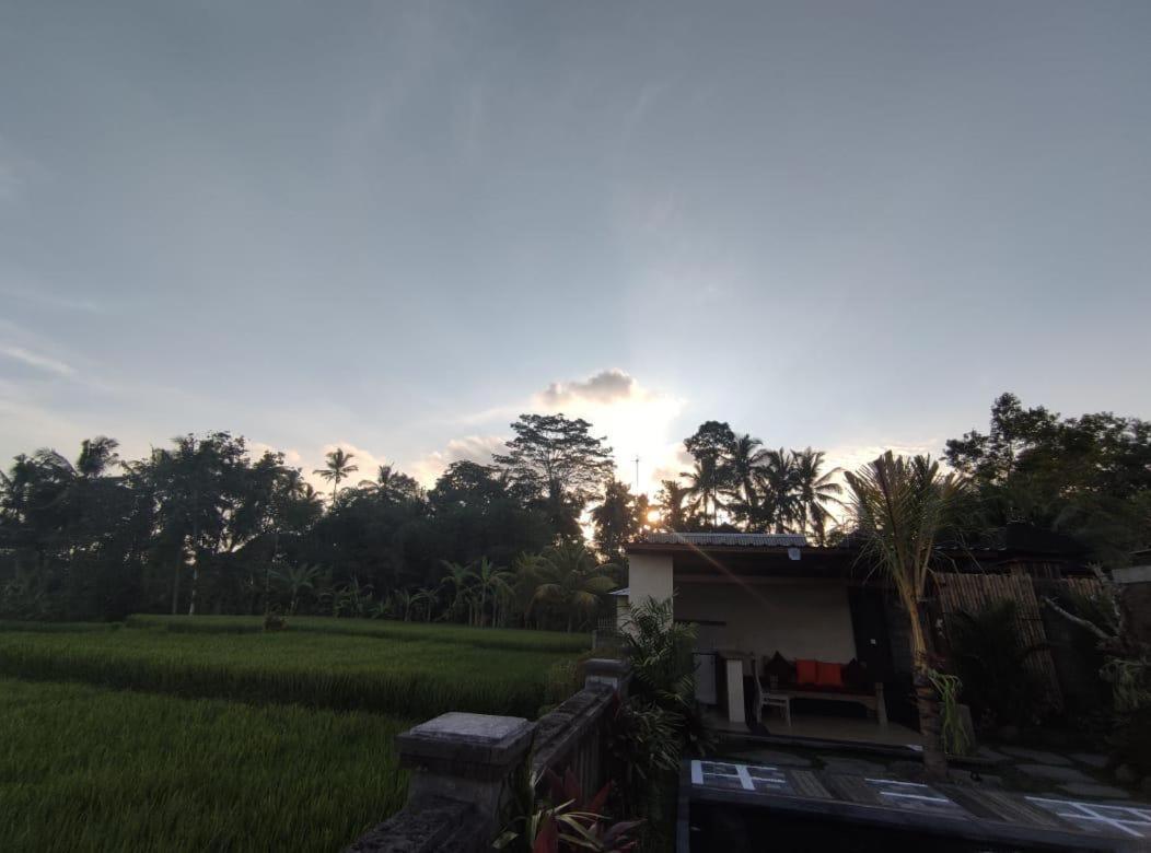 Anggarakasih Ubud Villa Esterno foto